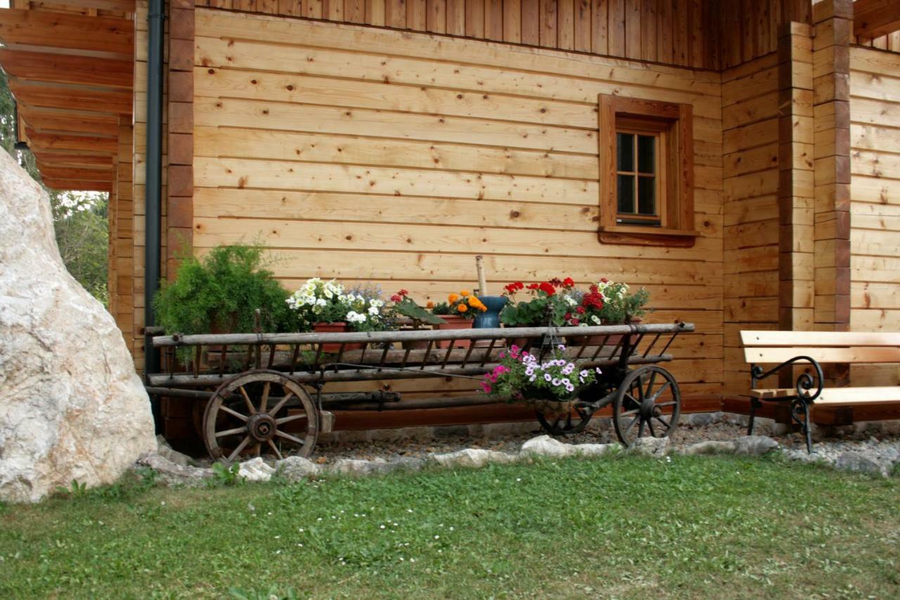 Apartment Pod Skalco Jesenice Extérieur photo